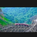 莫言与莫烦