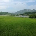 栖栖河