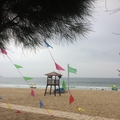 wuwenjie83