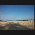 yyluo_1314