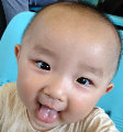 gz小猪头