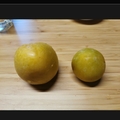 小菱角