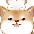 向日葵的想法