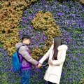 婷婷melody