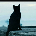 jack197583