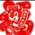 我的宝我做主