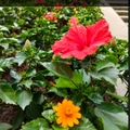 abby_2339