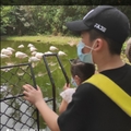 好运莲莲丫